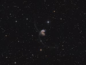 ngc4038 - Newton 12" Sternwarte Weerberg