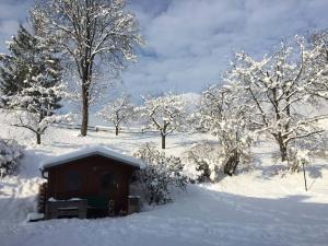 Winter Hotelgarten Hotel Heiligkreuz Hall bei Innsbruck